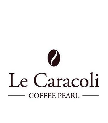 Cappuccino Solution : Démaquillant bio 400ml - Le Caracoli
