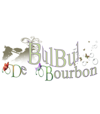 Bulbul de Bourbon